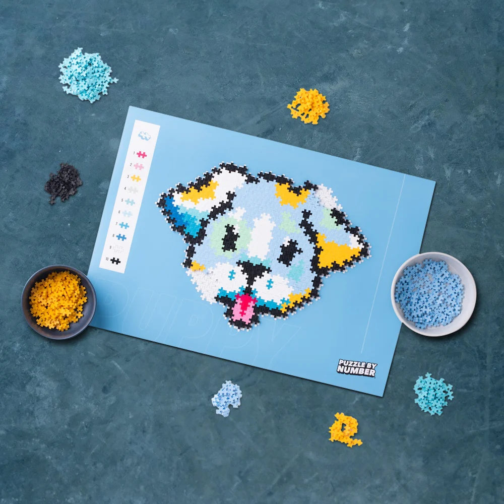 Puzzle By Number - 500 pc