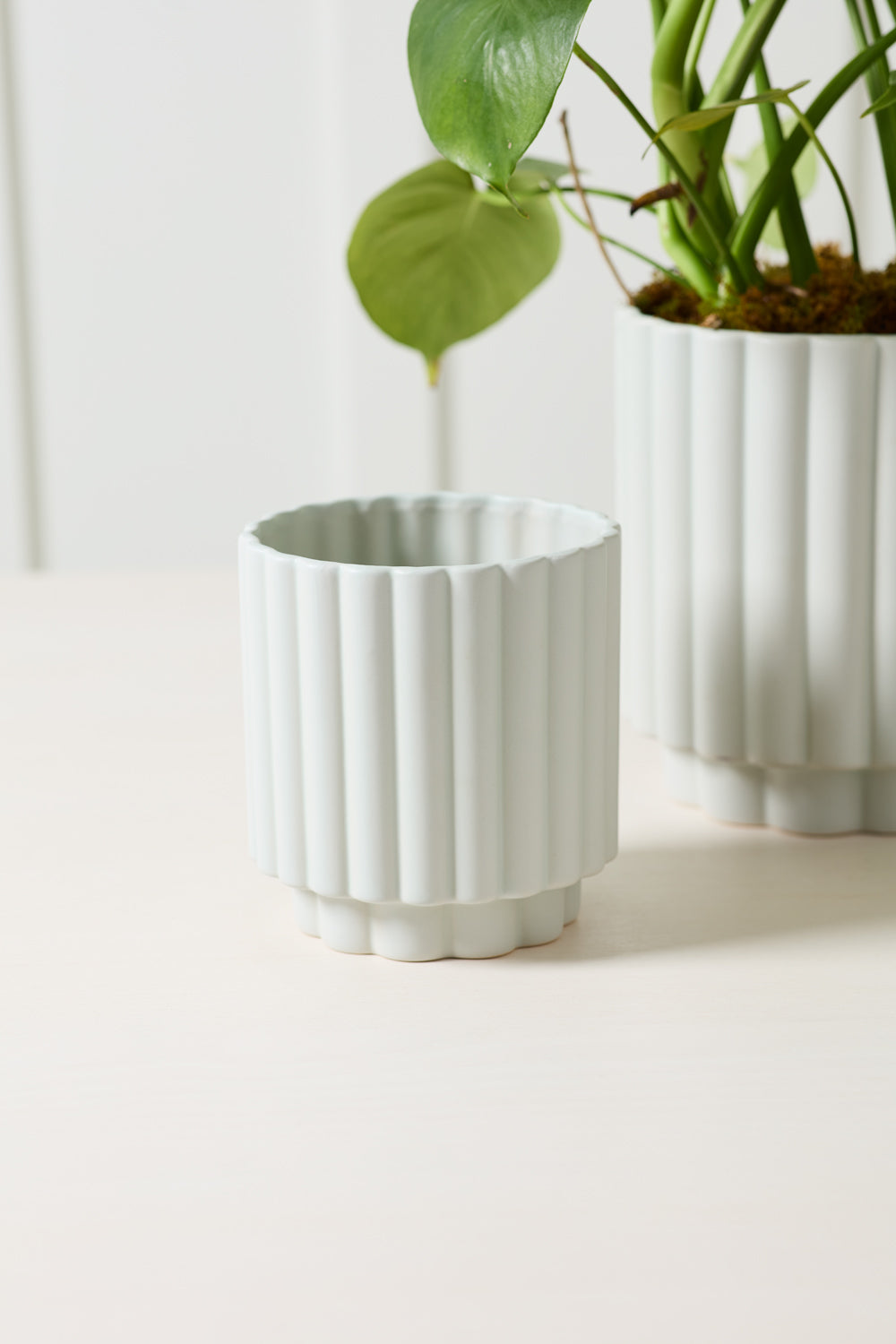 Carmen Pot