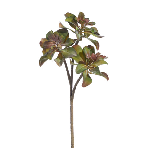 24" Succulent Pick