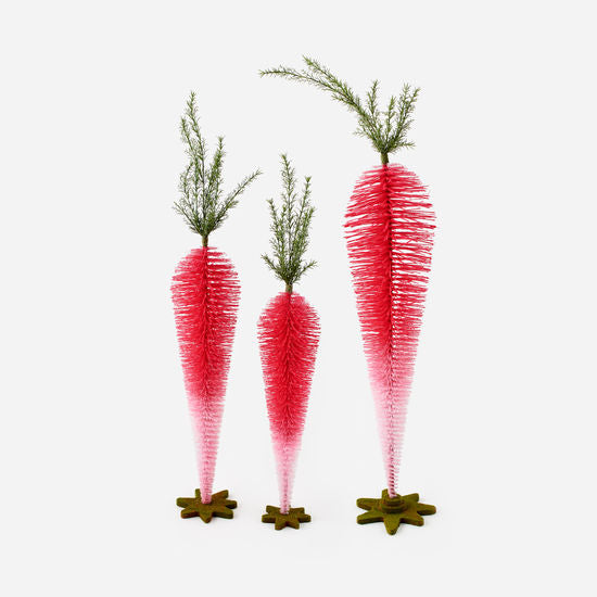 Standing Carrot Display