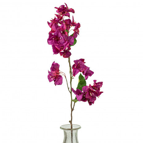 33" Bougainvillea Stem