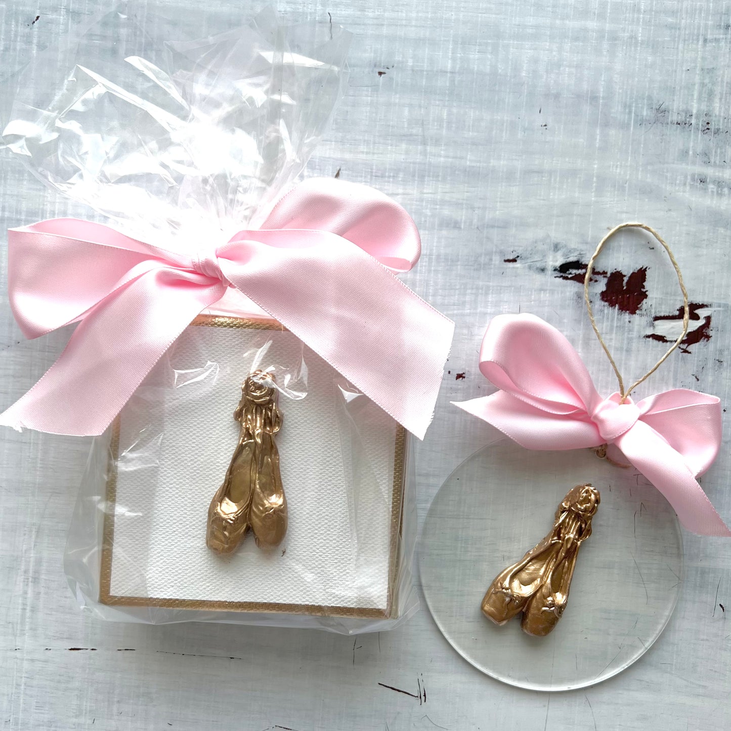 Ballerina Slipper Canvas Art