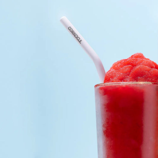 Corkcicle Ceramic Coated Straw Set