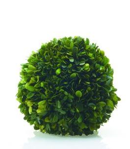 Boxwood Spheres