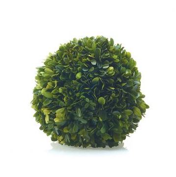 Boxwood Spheres