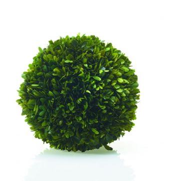 Boxwood Spheres