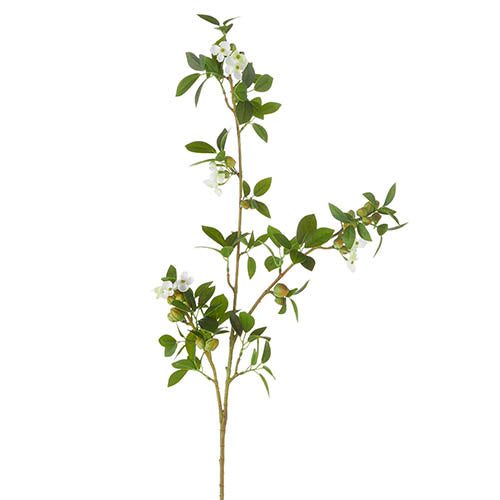 42" Green Quince Branch