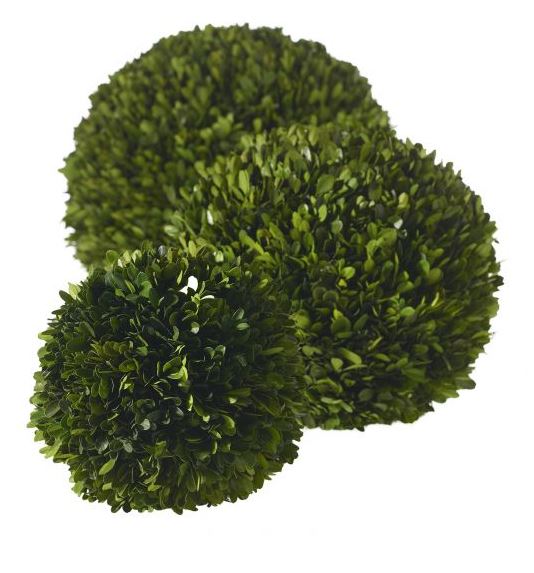 Boxwood Spheres