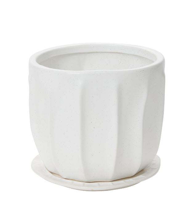 Draken Pot