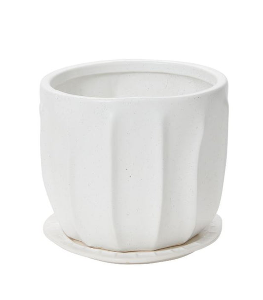 Draken Pot