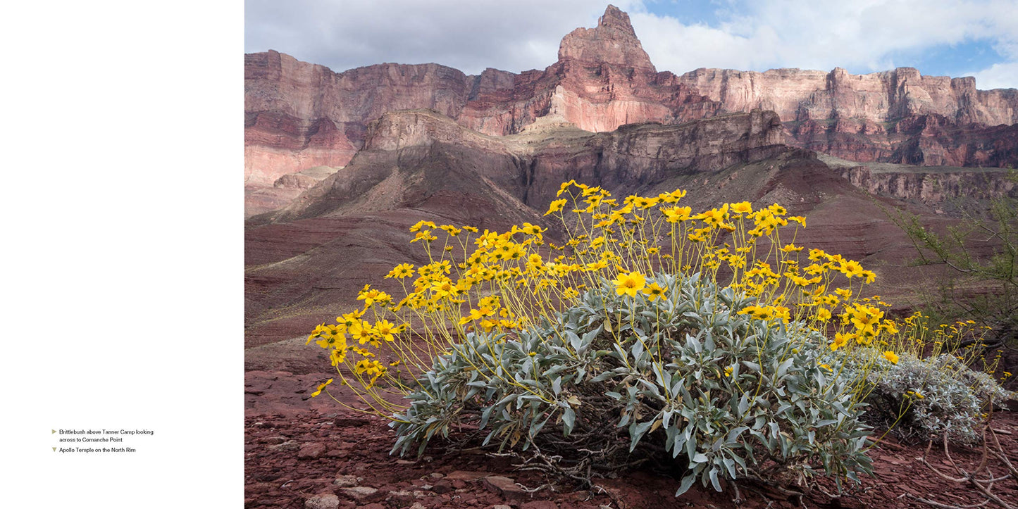 The Grand Canyon