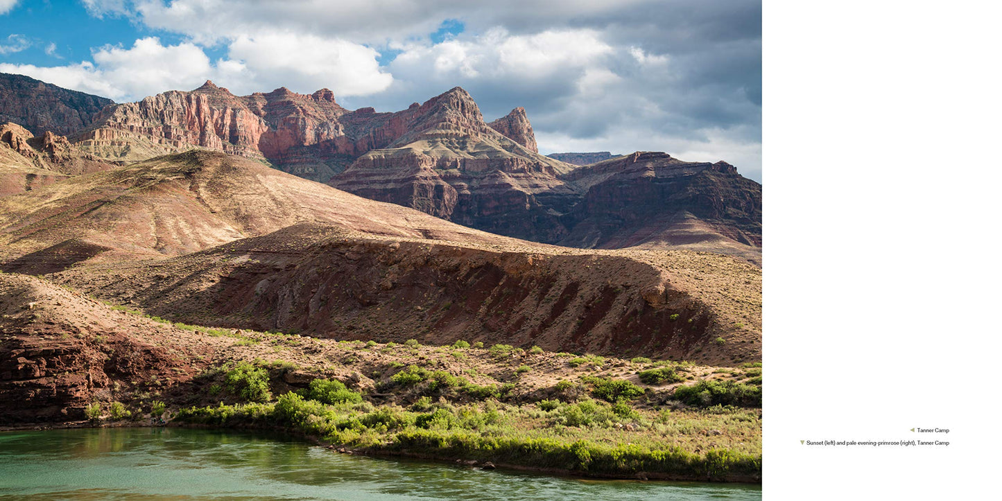 The Grand Canyon