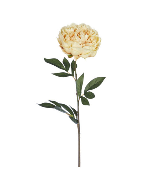 24" Real Touch Peony with Ice