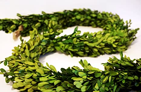 Beautiful Boxwood Garland