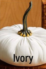 XL Velvet Pumpkins