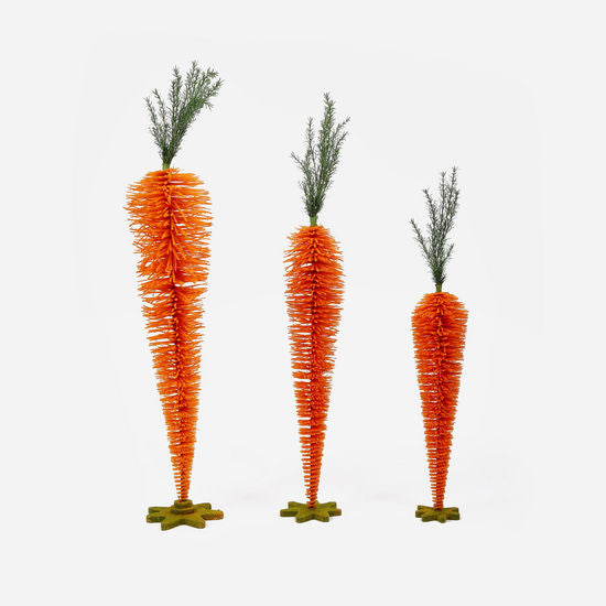 Standing Carrot Display