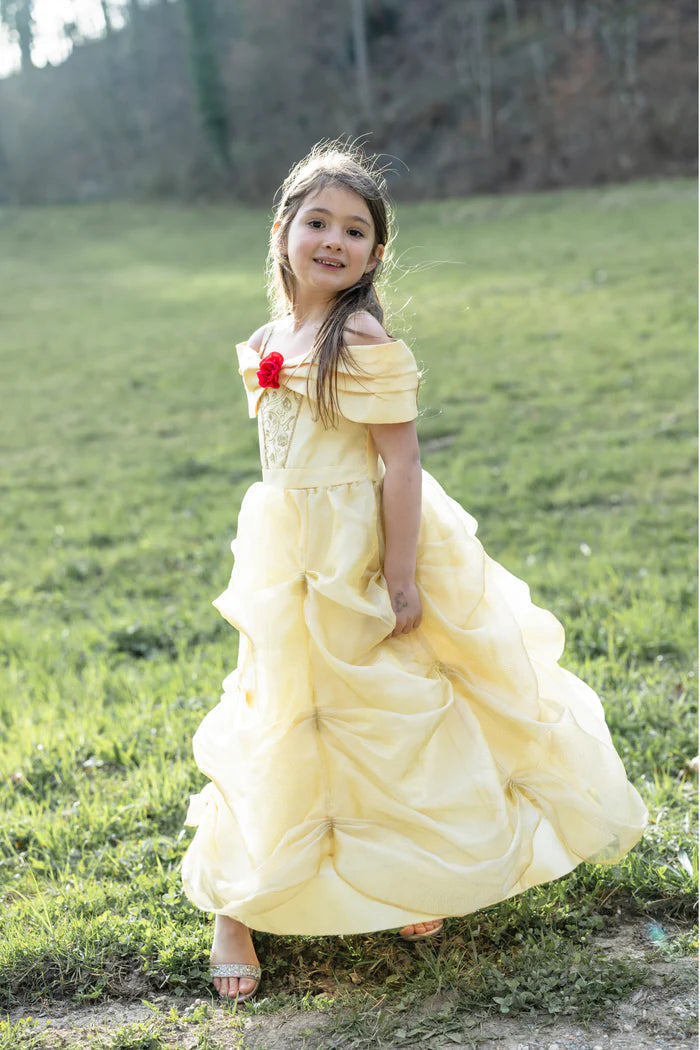 Once Upon a Princess Beauty Dress Size 3-4