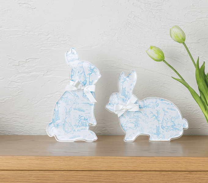 Toile Acrylic Bunny Sitter