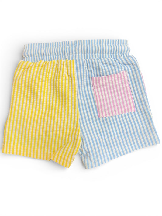 Multi Color Boy Swim Trunk with Liner