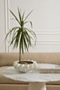 Isandro Bowl