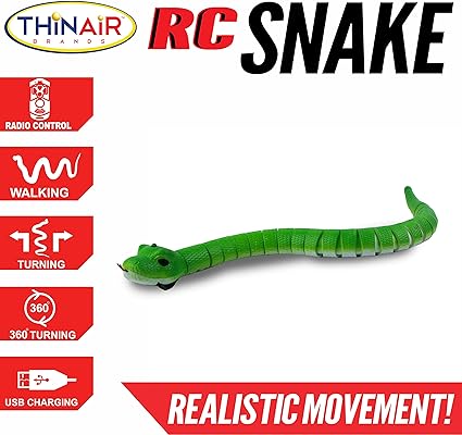 Remote Control Snake