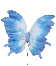 Paper Butterfly Decor