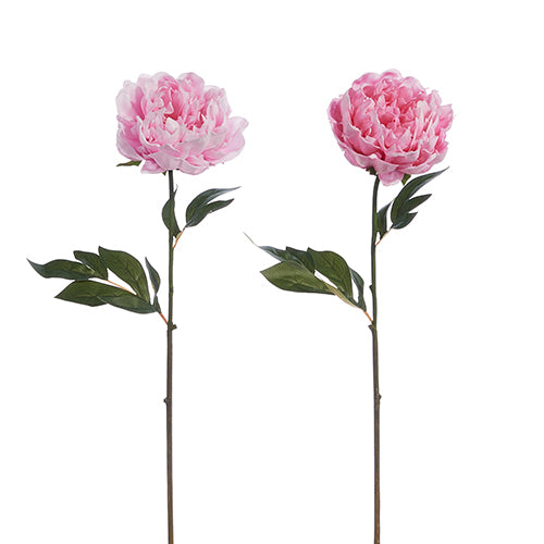 Real Touch Peony Stem