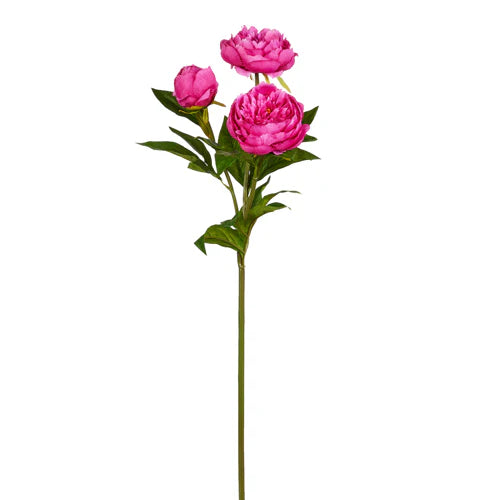 30" Hot Pink Peony Spray