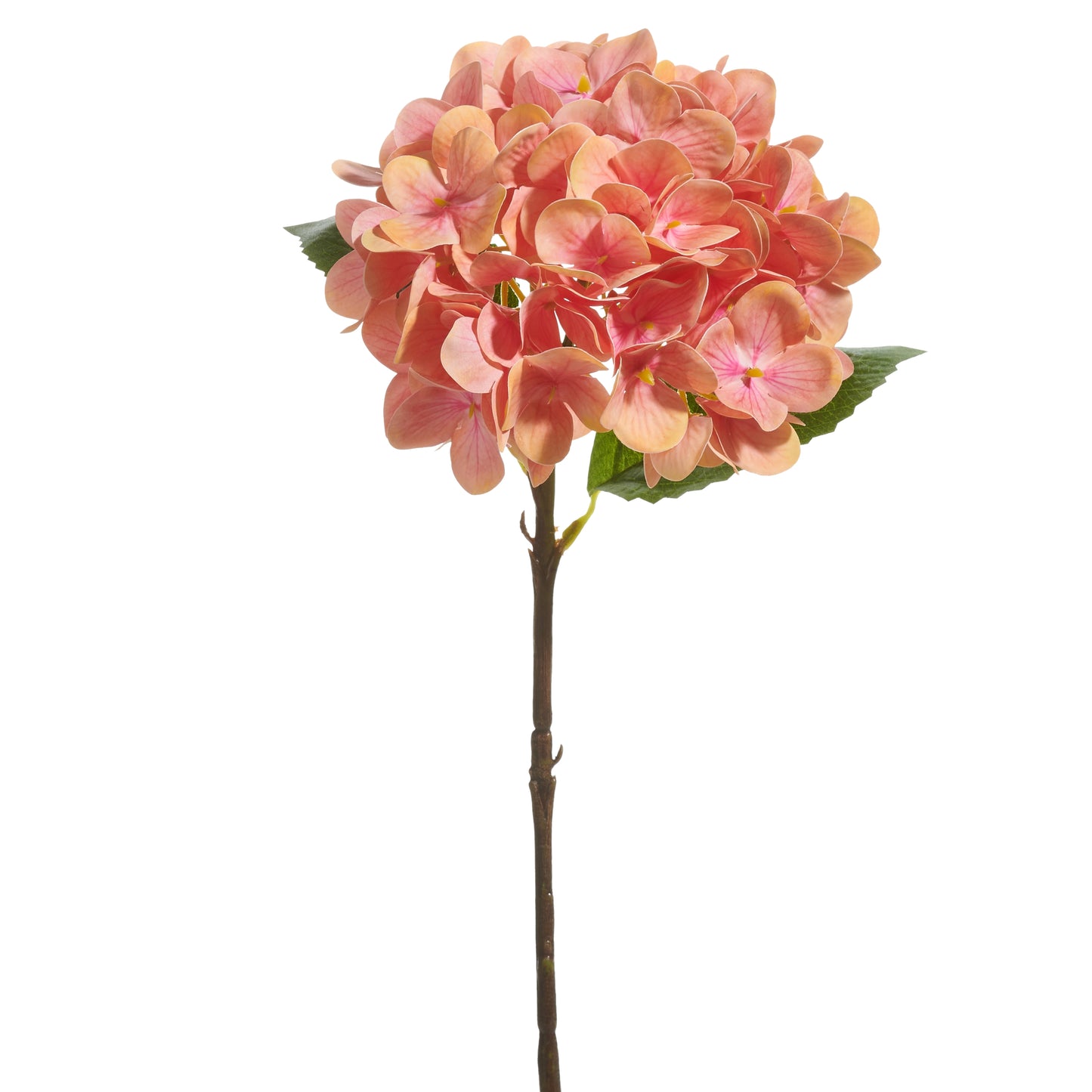 18" Coral Hydrangea Stem