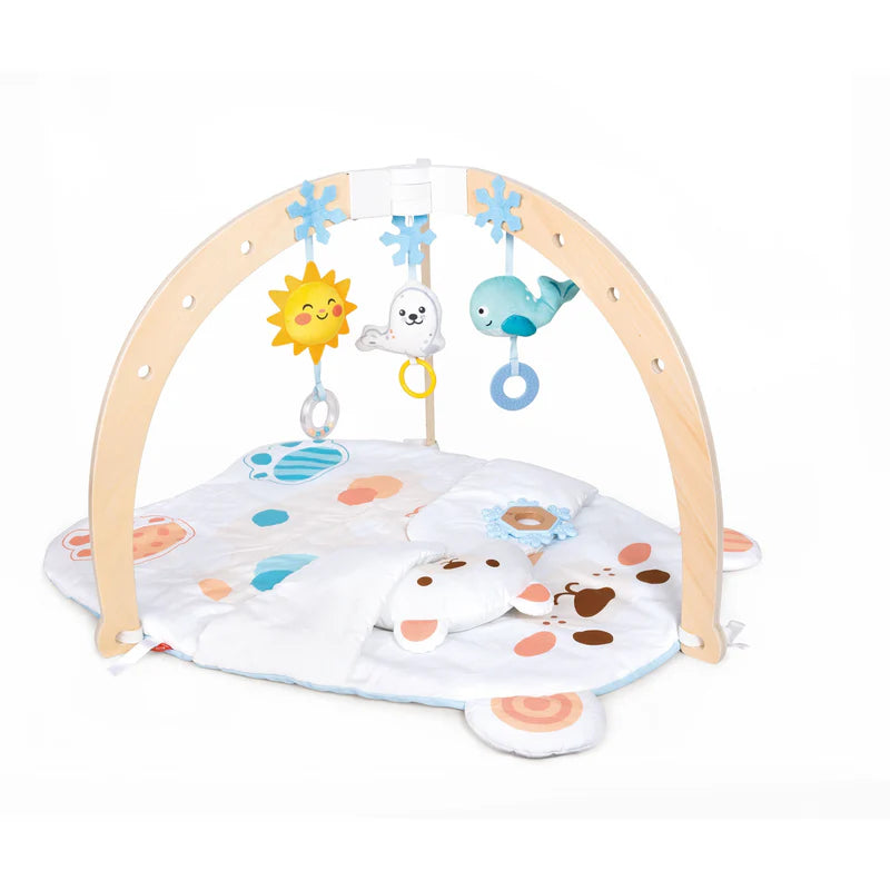 Snuggle Bear Activity Gym