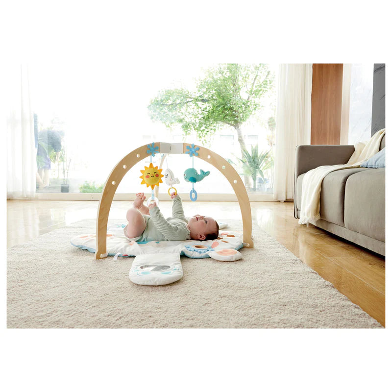 Snuggle Bear Activity Gym