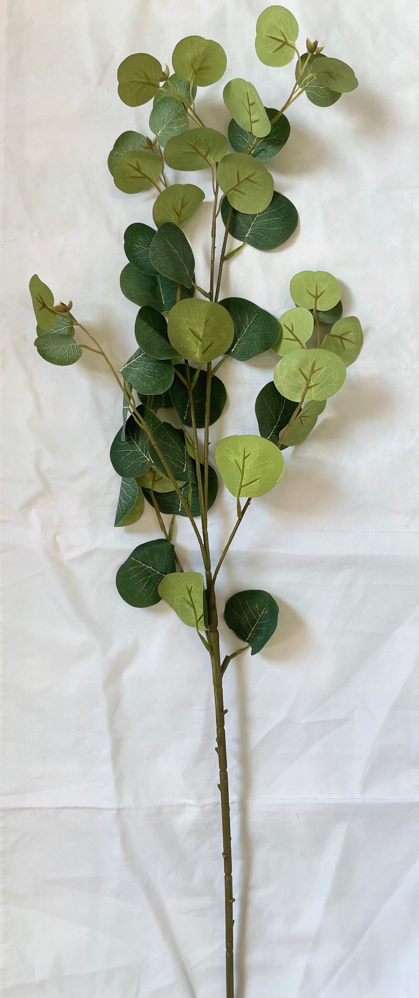 Faux eucalyptus