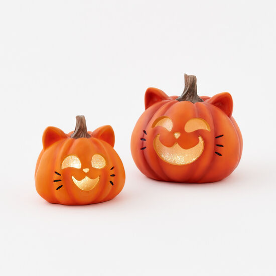 Lighted Cat Pumpkin