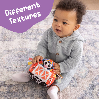 Peek-A-Moo Friendly Barn Developmental Toy