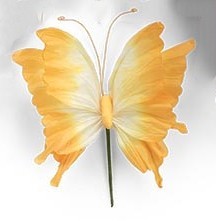 Paper Butterfly Decor