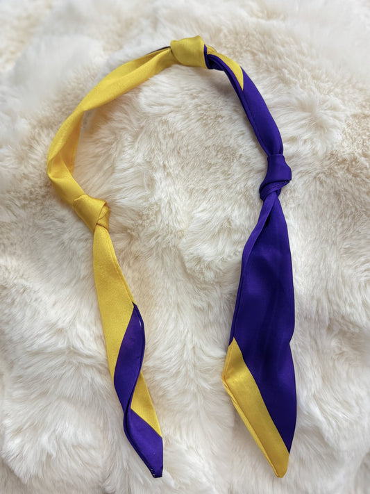 Purple and Gold Scarf