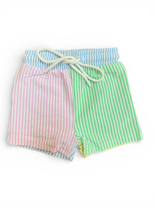 Multi Color Boy Swim Trunk with Liner