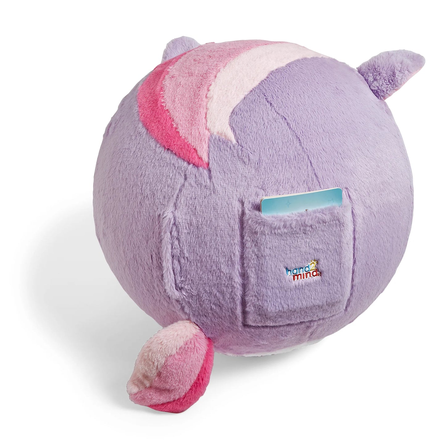 Bubble Plush Yoga Ball Buddy