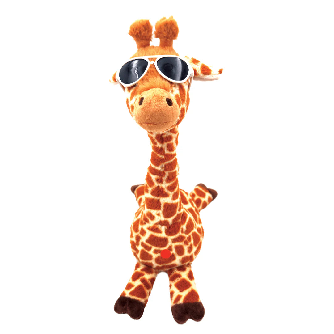 Groovy Giraffe