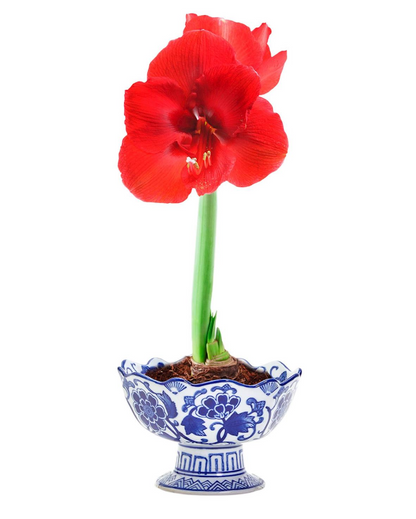 Scalloped Edge Footed Bowl