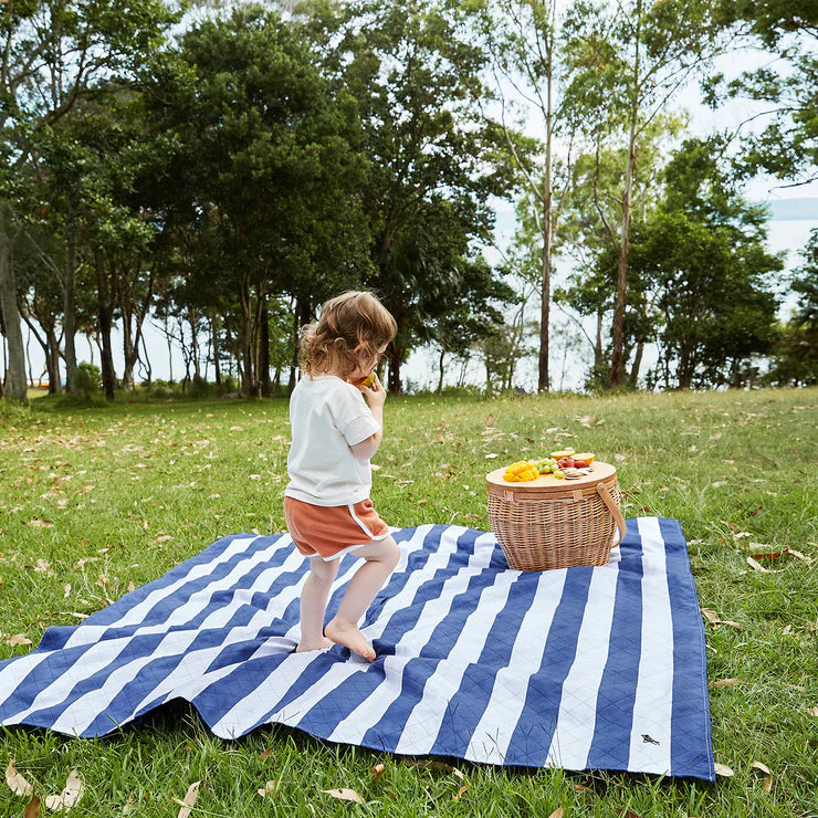 Pretty picnic deals blanket