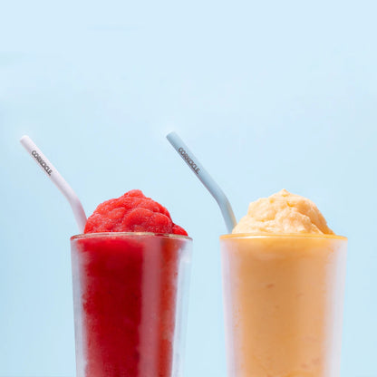 Corkcicle Ceramic Coated Straw Set