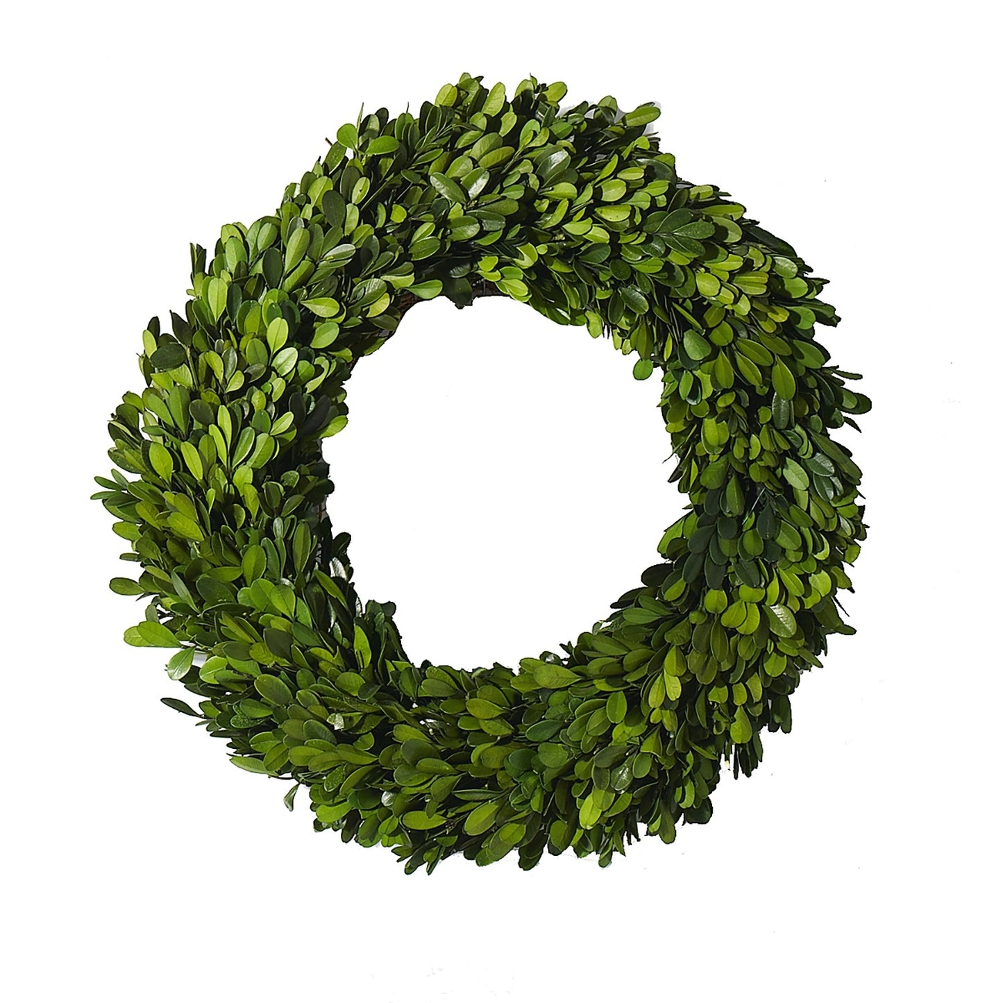 Boxwood Circle Wreath