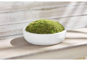 Preserved Greenery Bowls