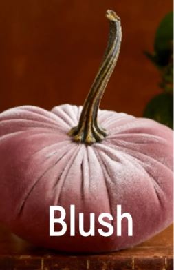 Large Velvet Pumpkins