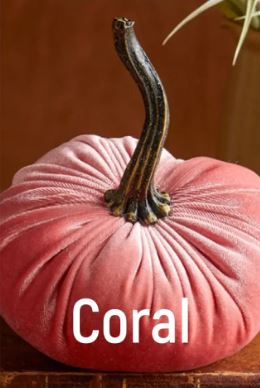 Small Velvet Pumpkin