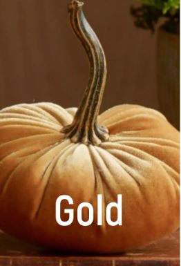 Large Velvet Pumpkins