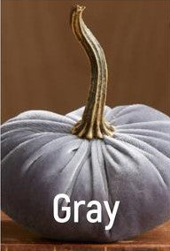 Small Velvet Pumpkin