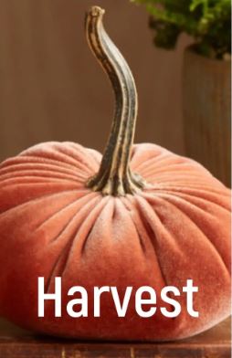 Large Velvet Pumpkins