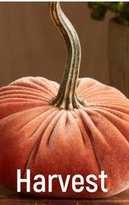 Small Velvet Pumpkin